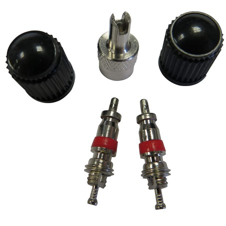 FISCHER KIT VALVE AVEC DÉMONTE-OBUS 5 PIÈCES NOIR/ARGENT NORMAL