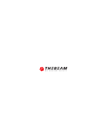 THE BEAM
