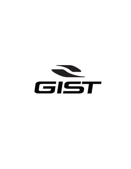 Gist Italia
