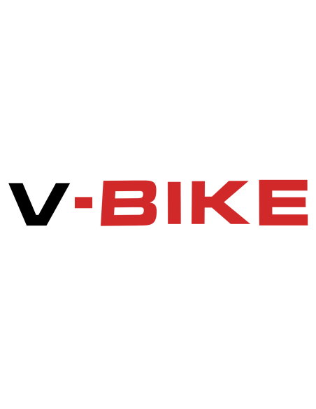 V BIKE
